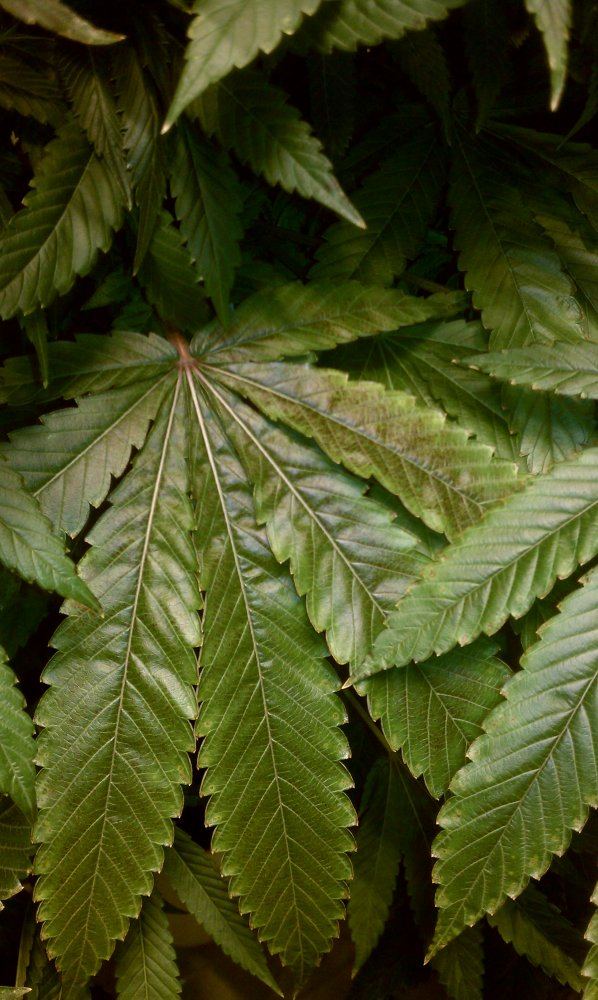 Deficiency 3