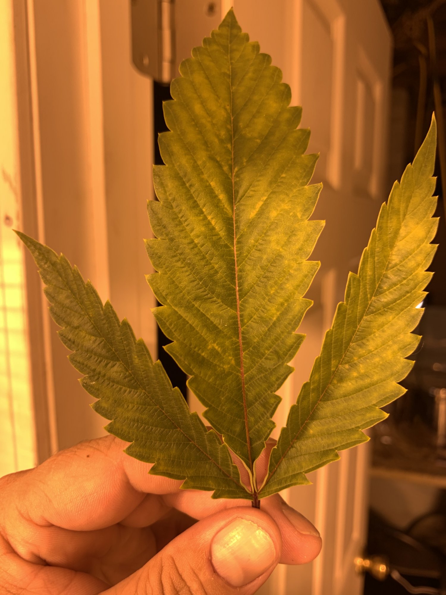Deficiency could use advice 2