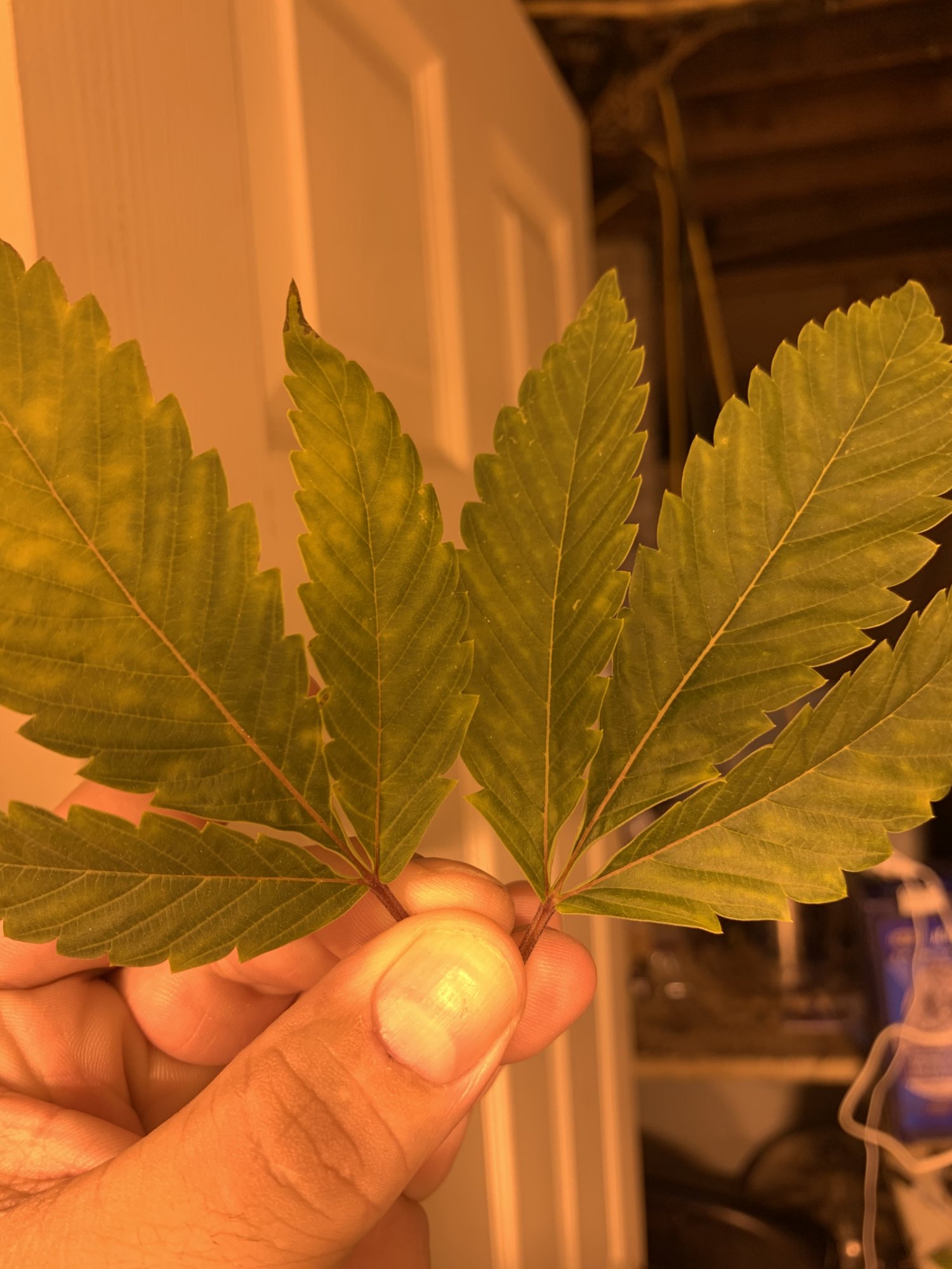 Deficiency could use advice 3