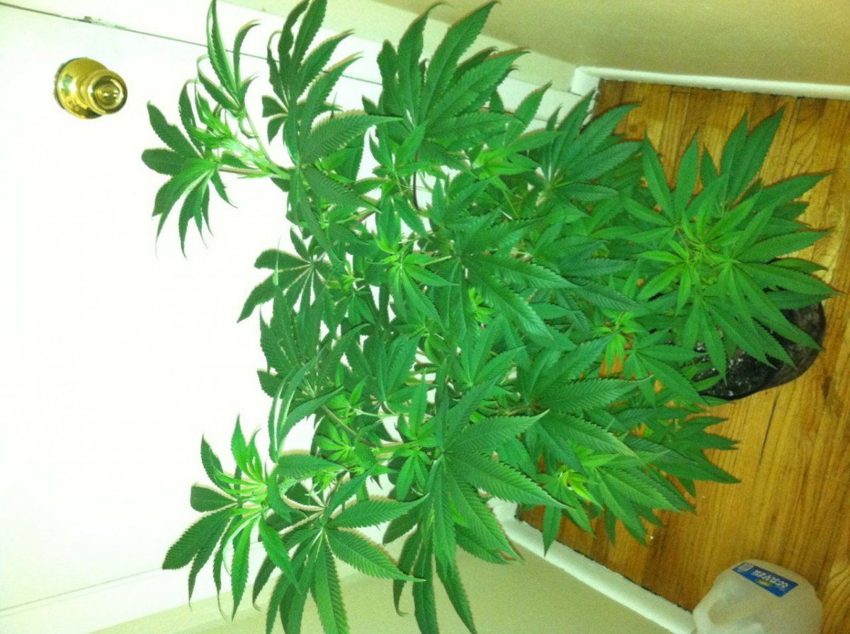 Deficiency issue 3