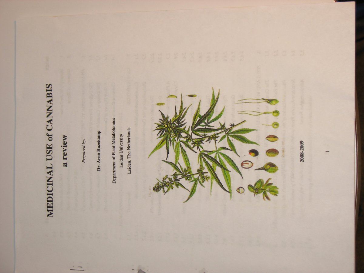 Definative report on cannabis as medicine