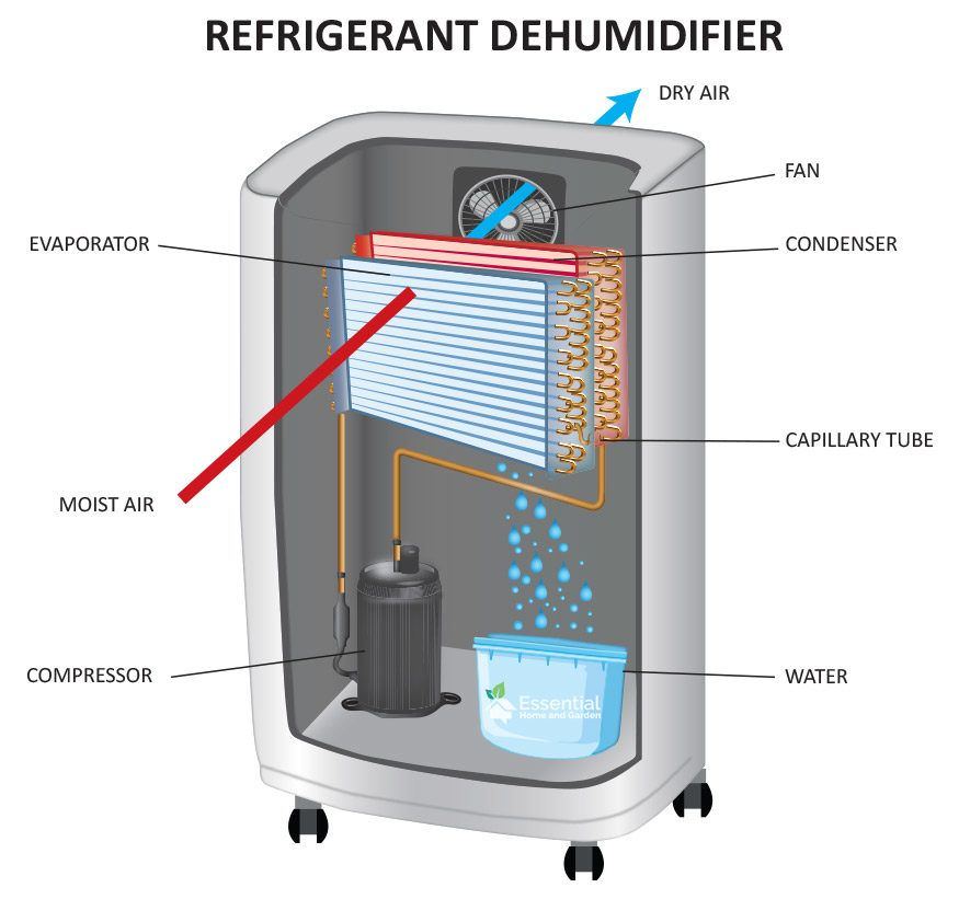 Dehumidifier