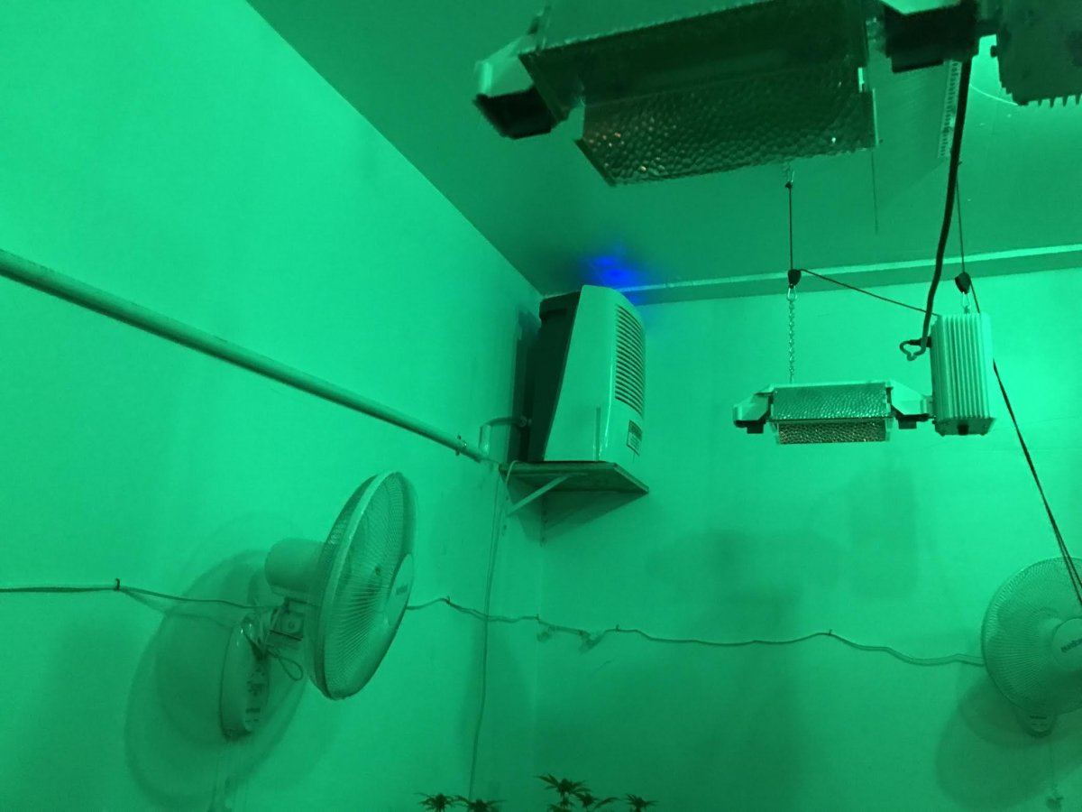 Dehumidifiers
