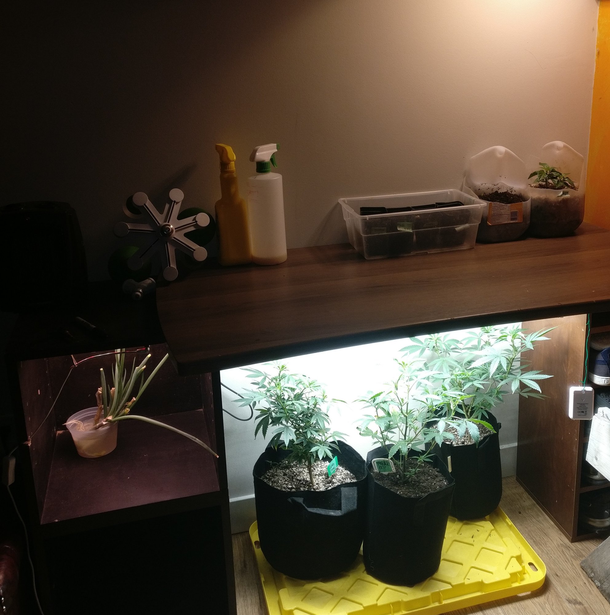 Desk