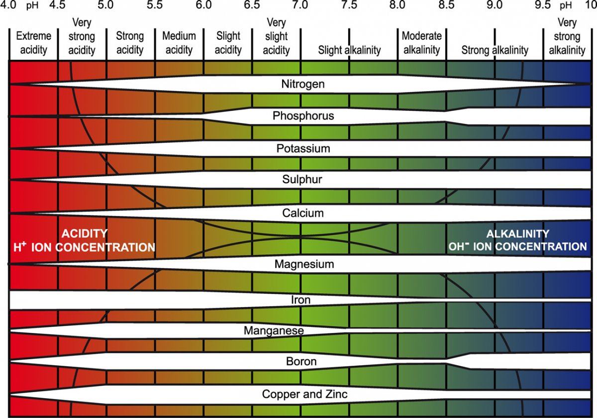 Detailed Truog pH chart