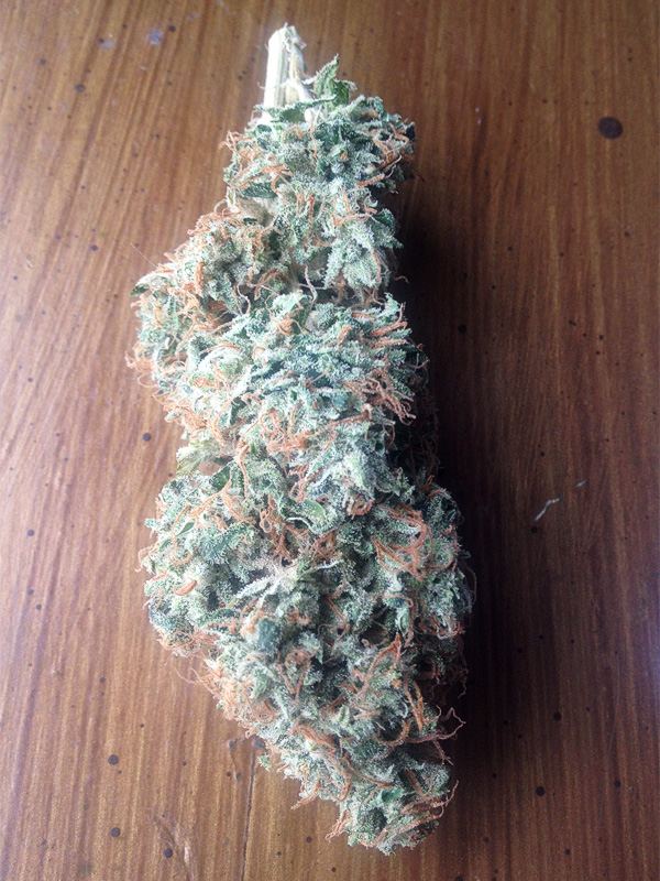 Diesel