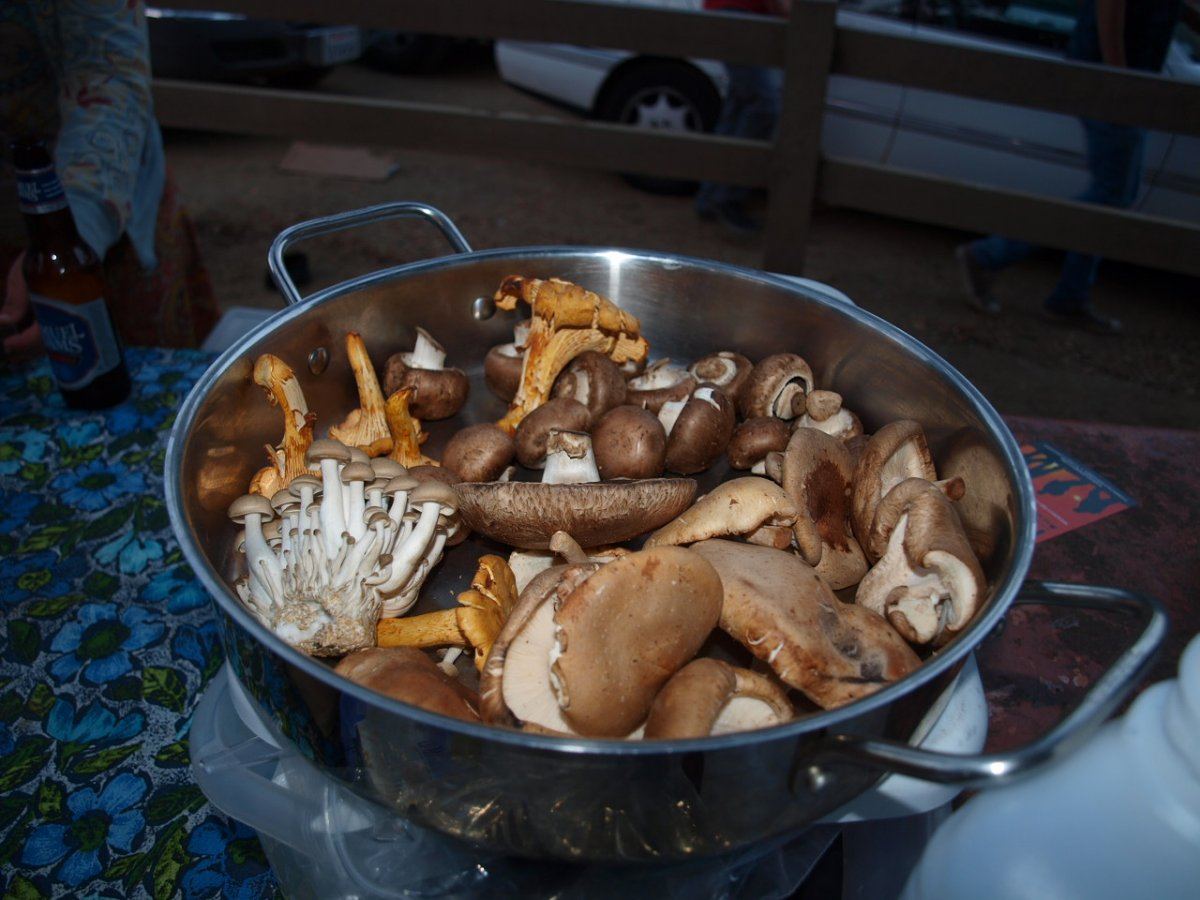 DINNER