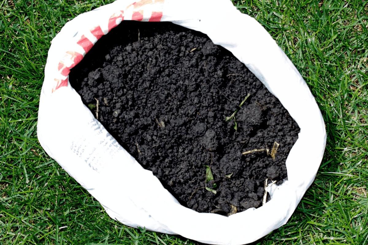 Dirt