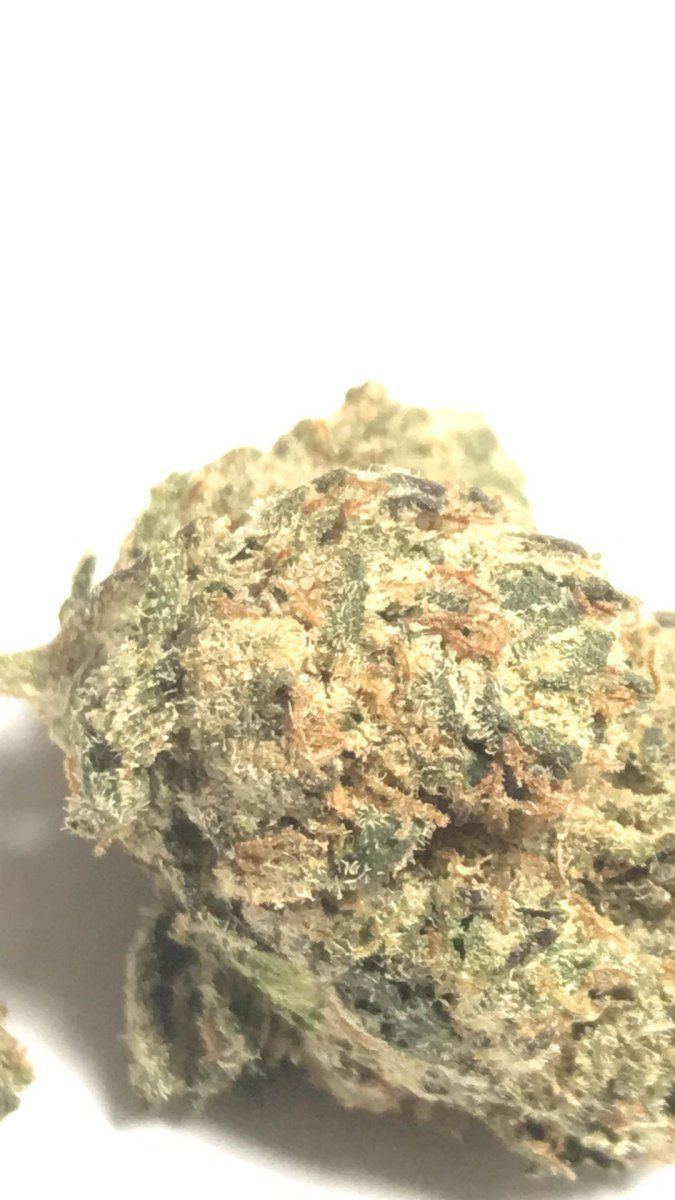Dispenseree buds   review and warning 2