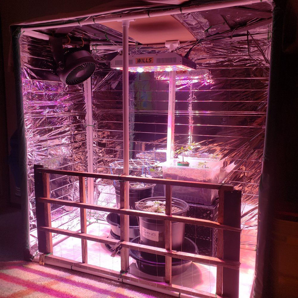 Diy 4x2x4 led grow box 3