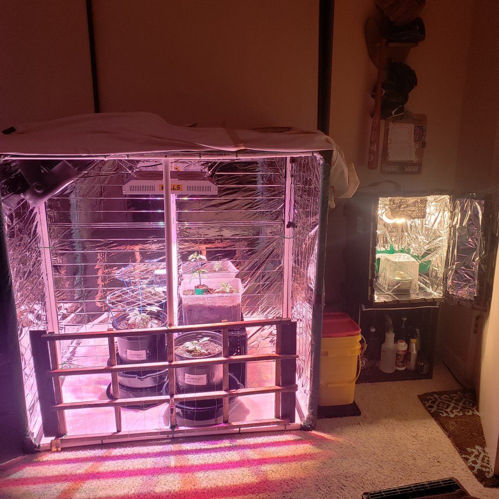 Diy 4x2x4 led grow box 4