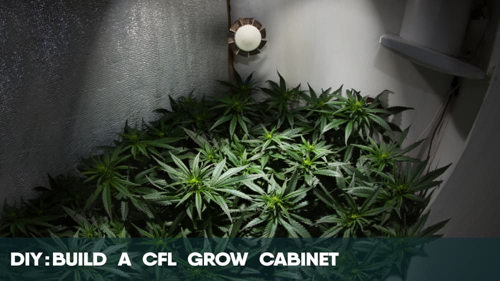 DIY Build a CFL Cannabis Grow Cabinet