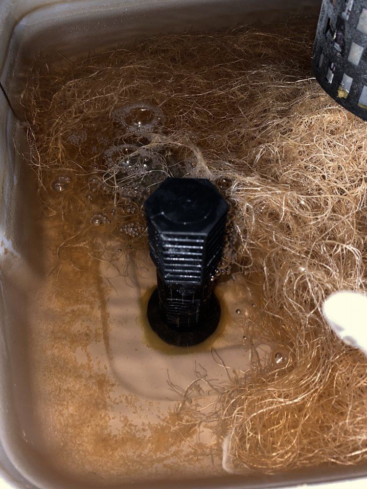 Diy rdwc closet grow setup 4