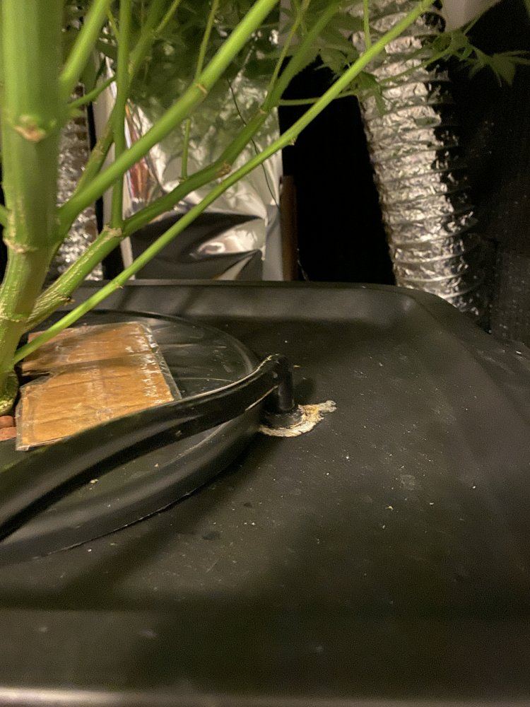 Diy rdwc closet grow setup 5