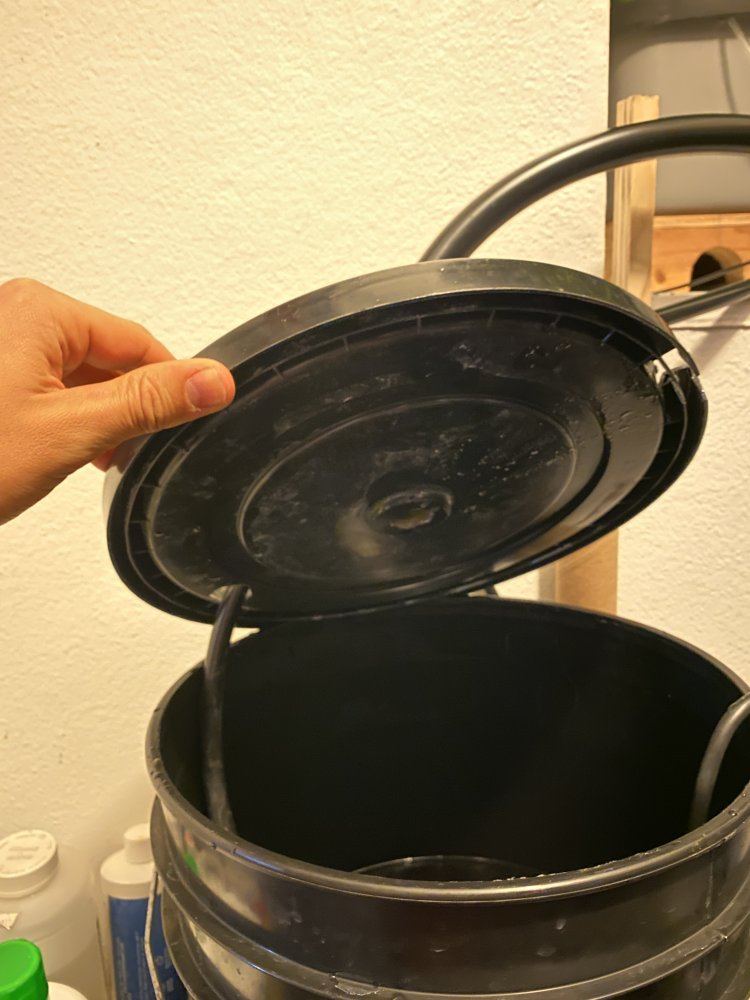 Diy rdwc closet grow setup 7