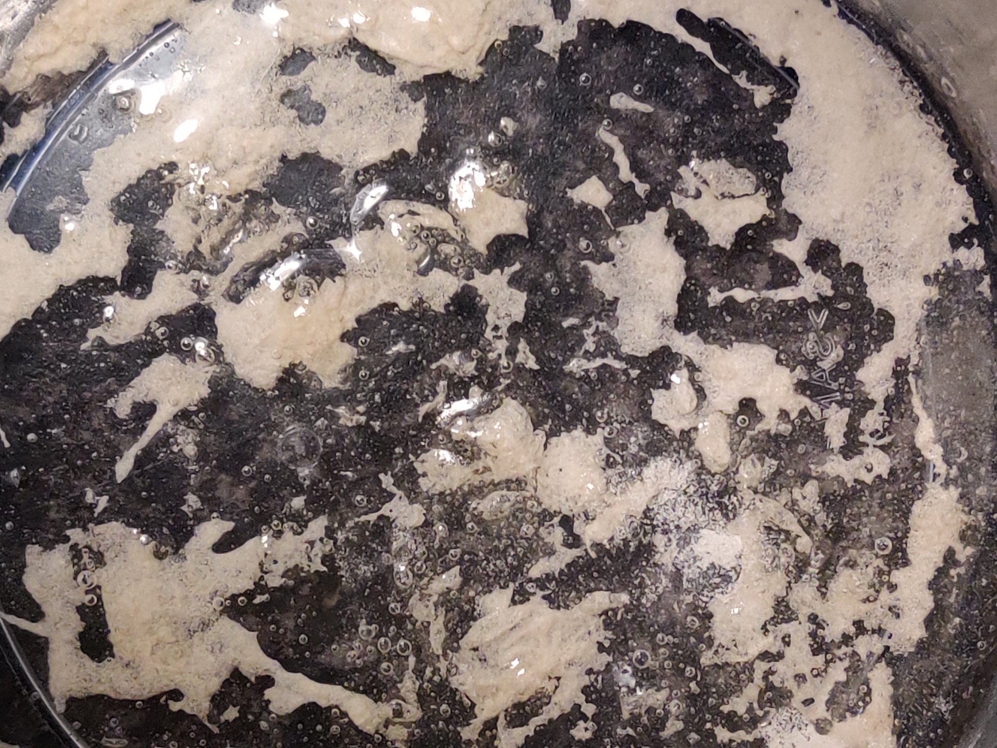 Diy step by step guide for dissolving chitosan 4
