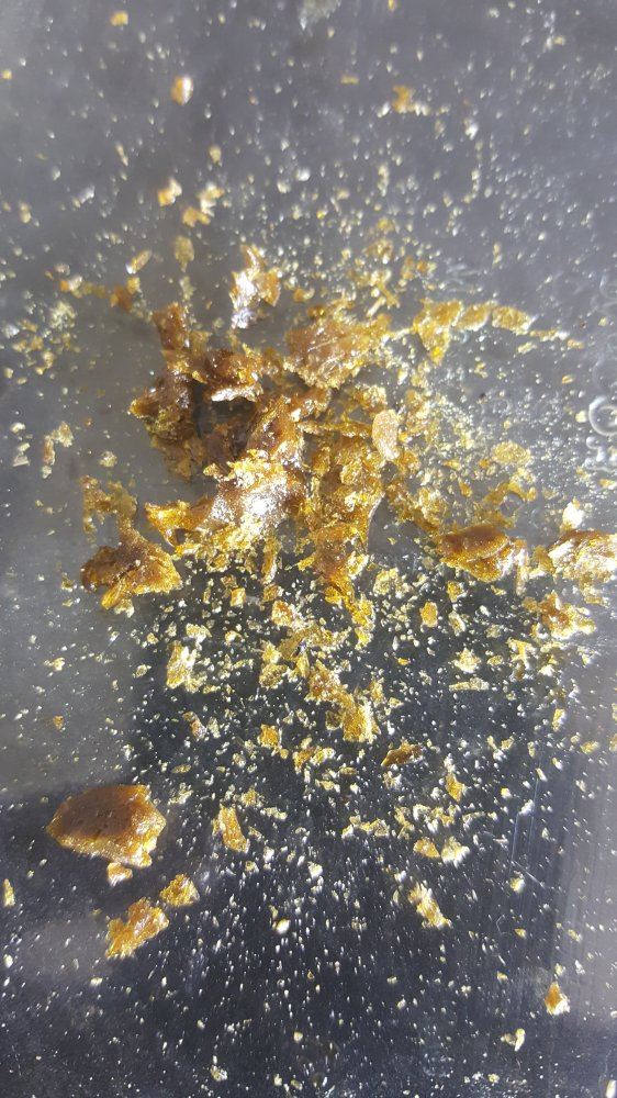 Dme extract 20