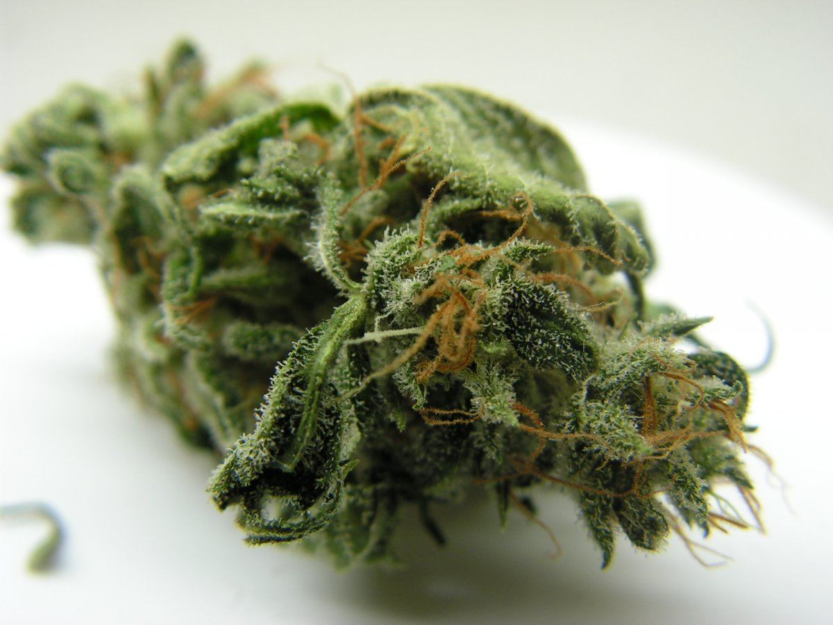 DNA SOUR KUSH 3