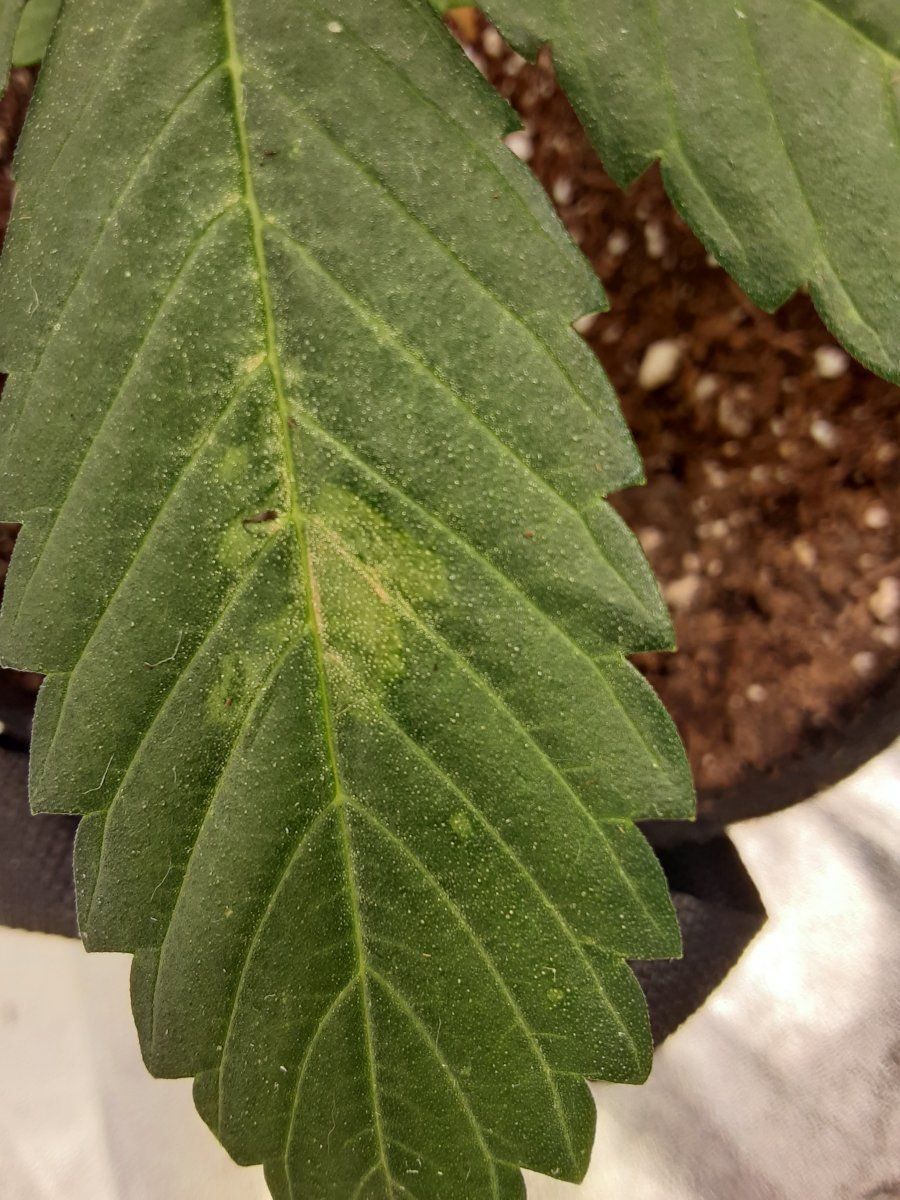 Do i have a deficiency 4
