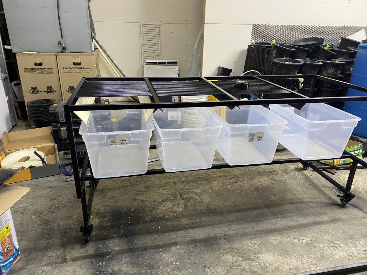 Do it yourself bud sorter twisted hippie style 4