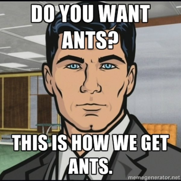 Do you want ants