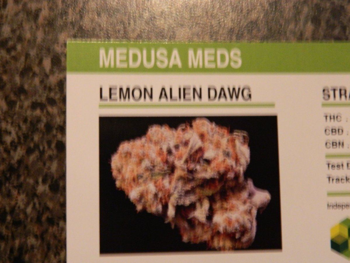 Doc lemon and esk 003