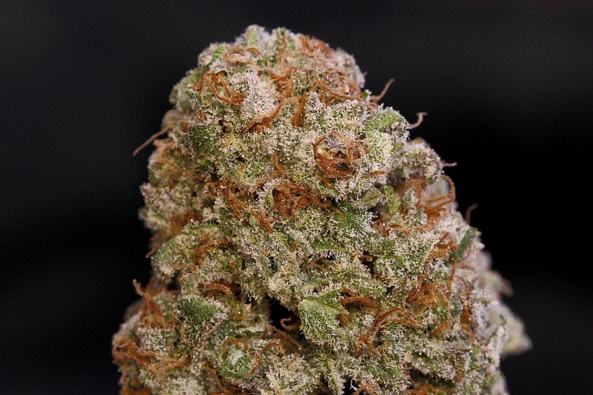 Doc6