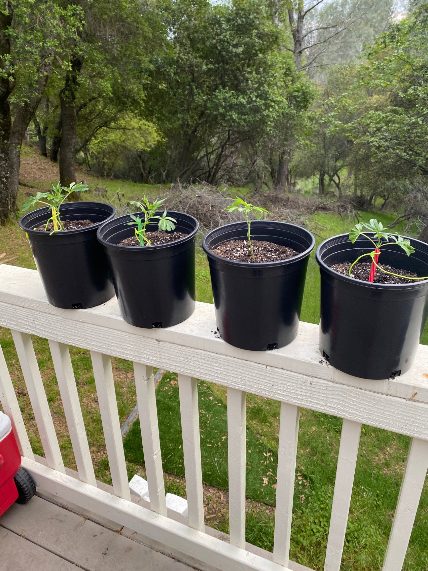 Docs box first grow in 5 years 3