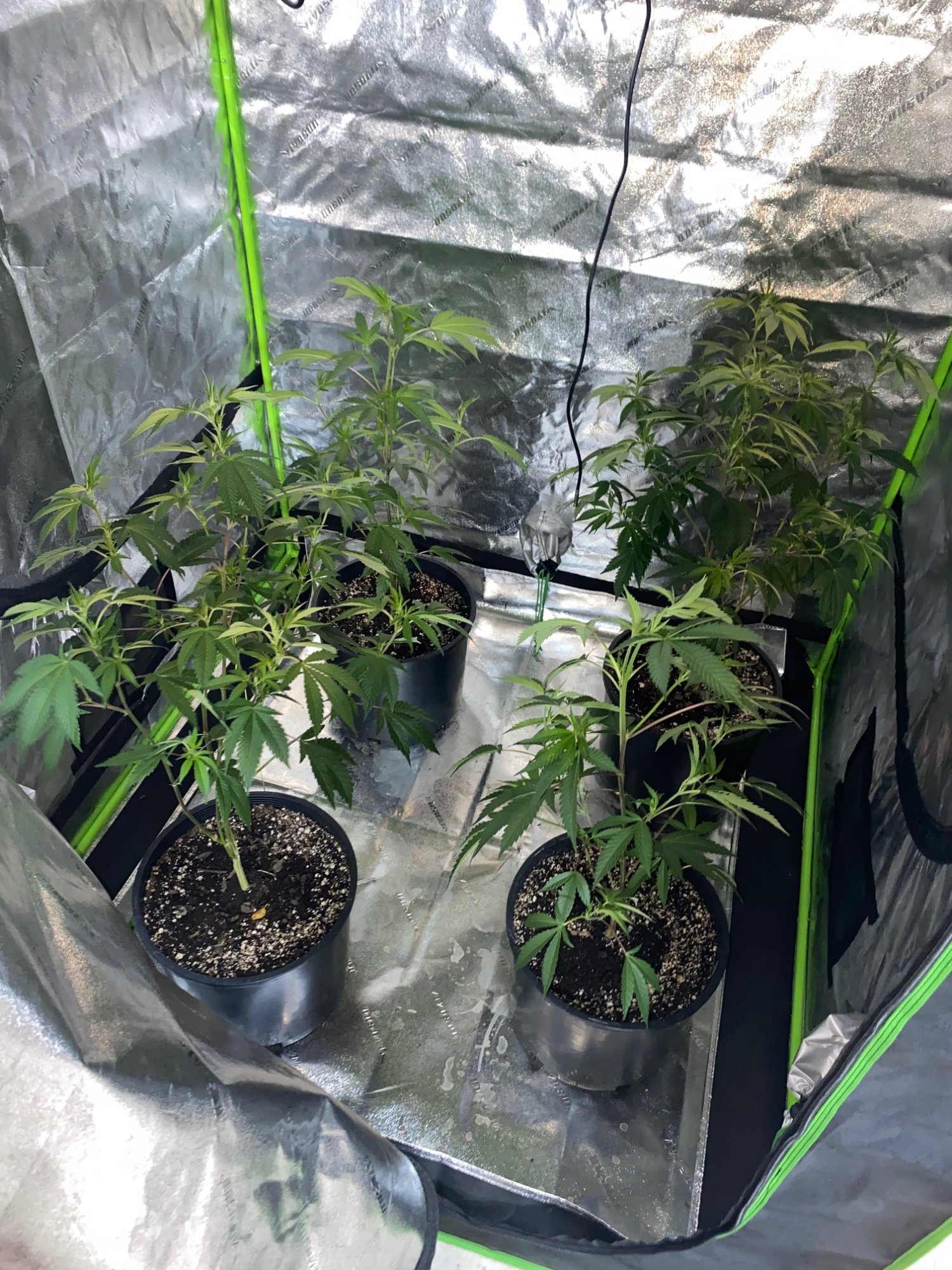 Docs box first grow in 5 years 4