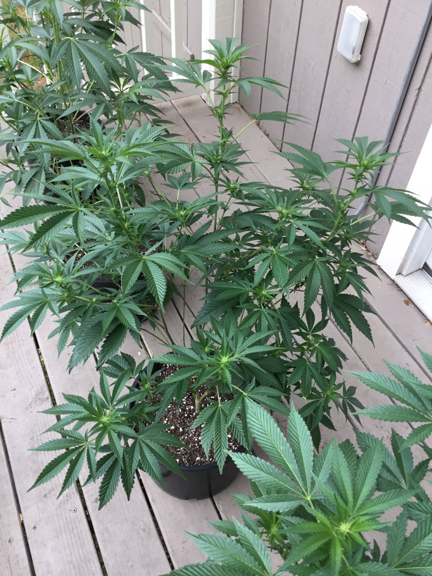 Docs box first grow in 5 years 5