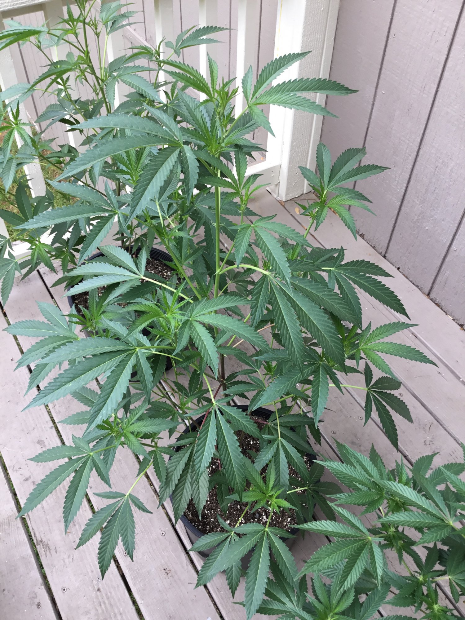 Docs box first grow in 5 years 6