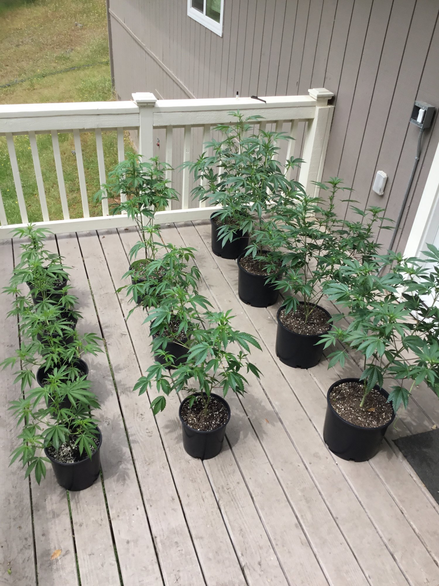 Docs box first grow in 5 years 7
