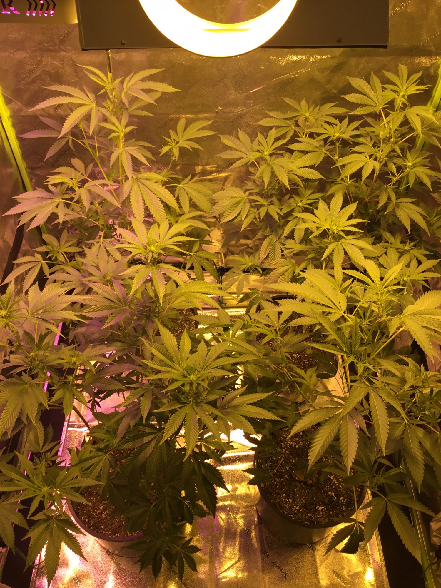 Docs box first grow in 5 years