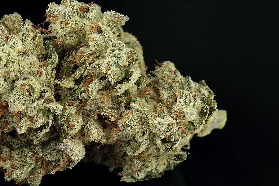 Doctor0048