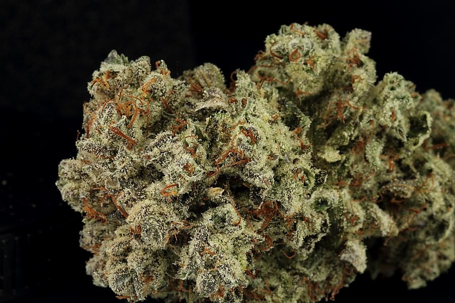 Doctor0052