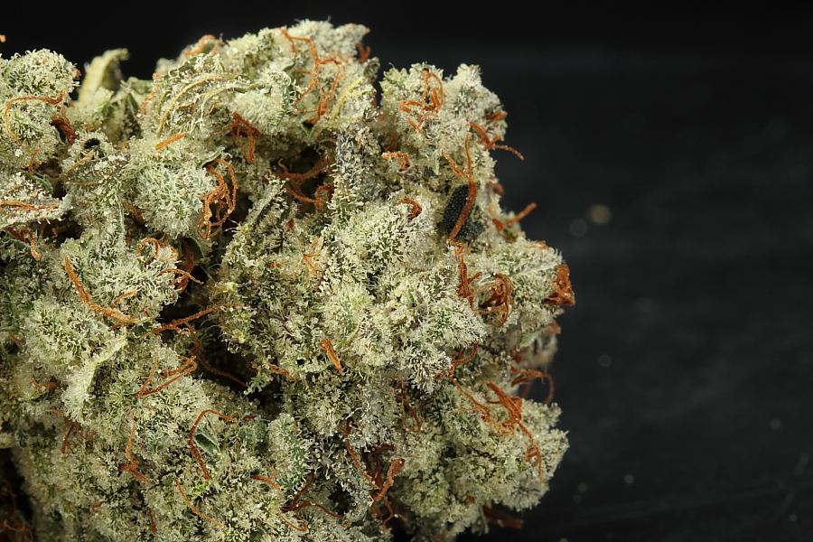 Doctor0073