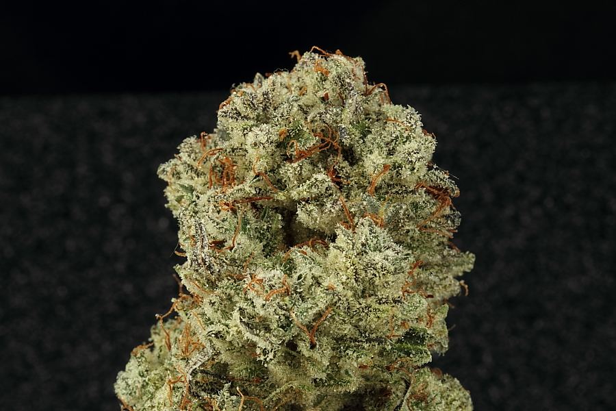 Doctor0076