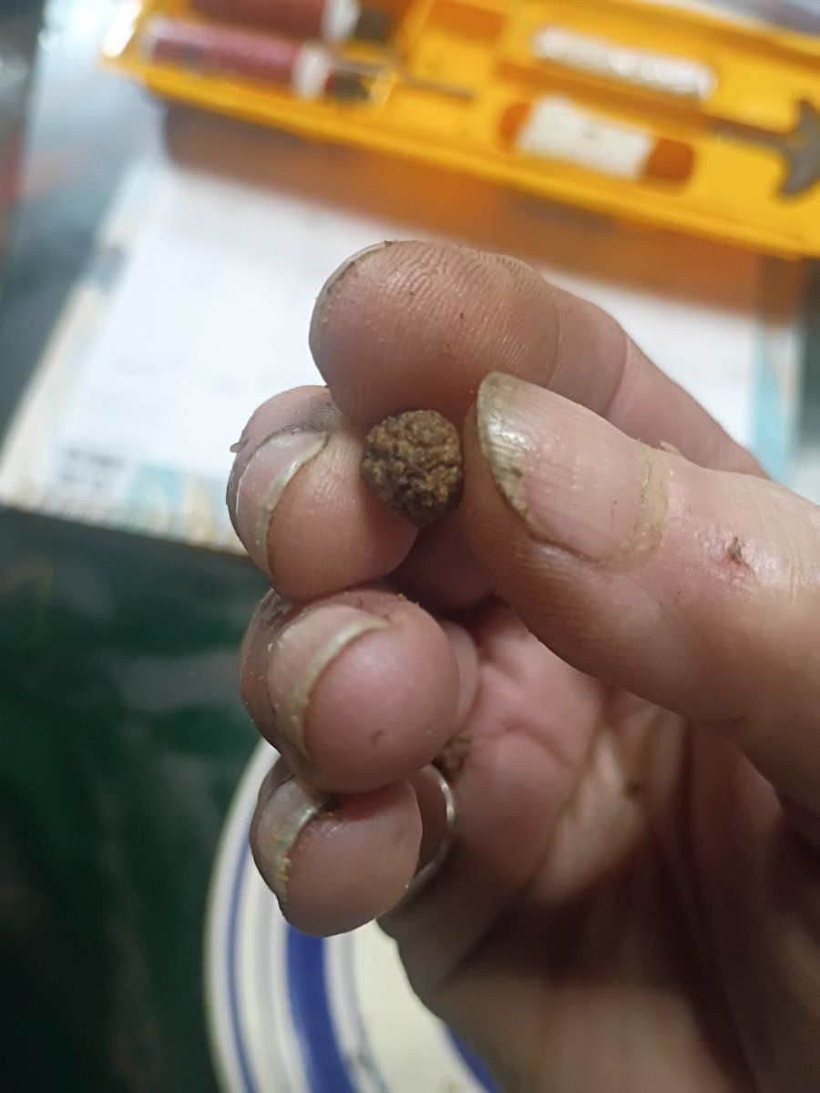 Does anyone know what this is 3