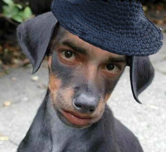Dogface hat