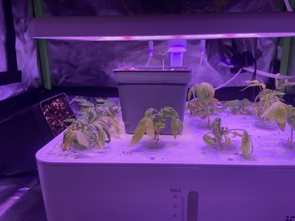 Doing the best with what i have 11