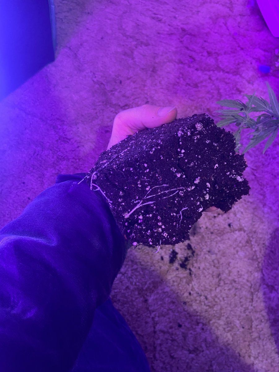 Doing the best with what i have 14