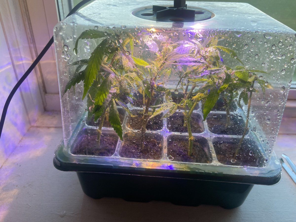 Doing the best with what i have 8