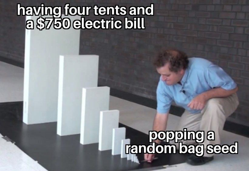 Domino Effect 13072025130948