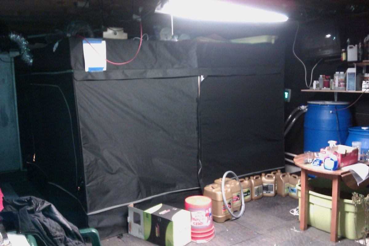 Double barrell 16 w 6k in tent 9