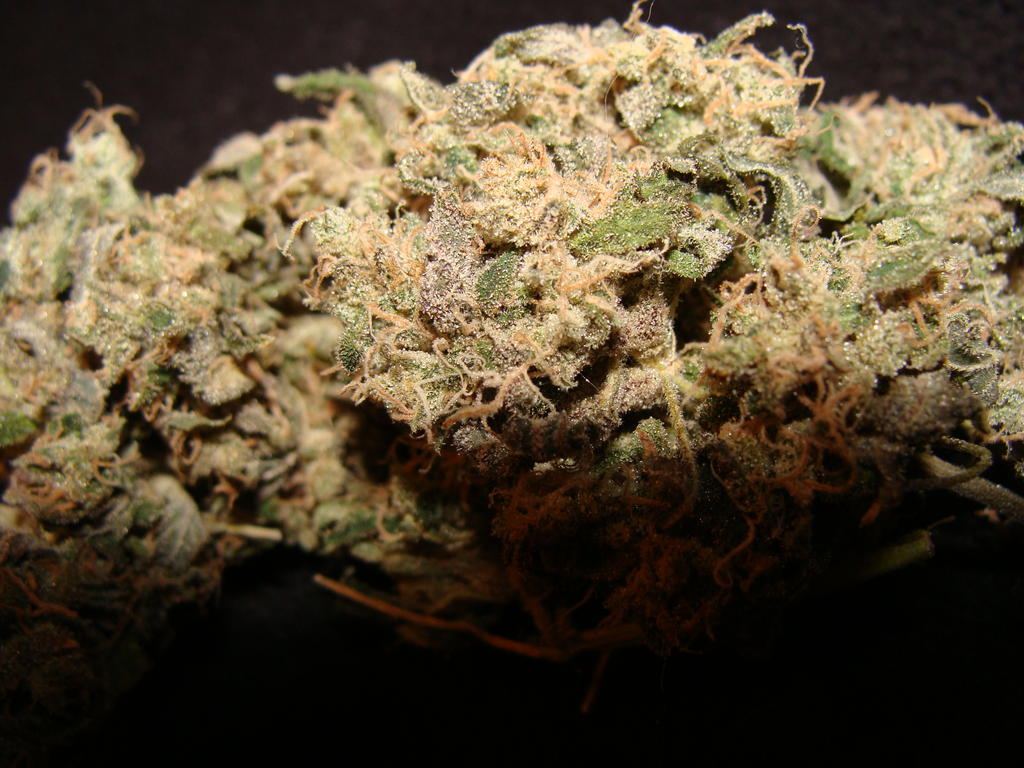 DOUBLE STRAWBERRY DIESEL