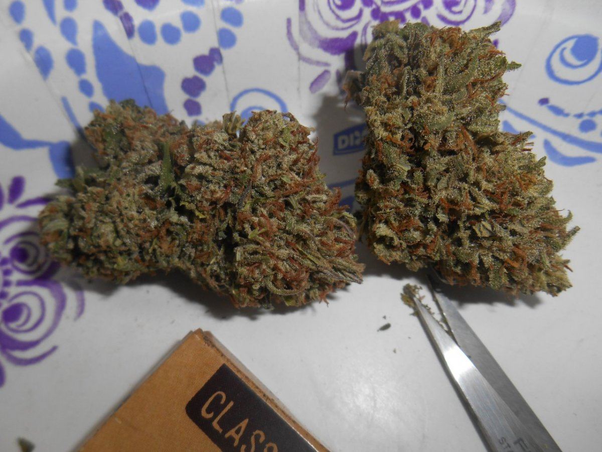 Doublesourbuds