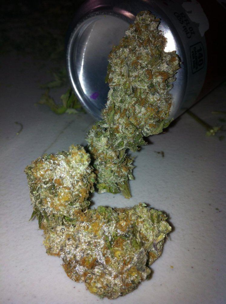 Dr dank cookie