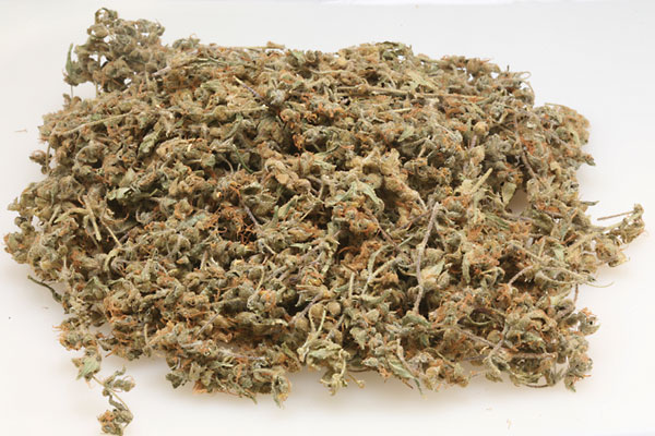 Dr grinspoon
