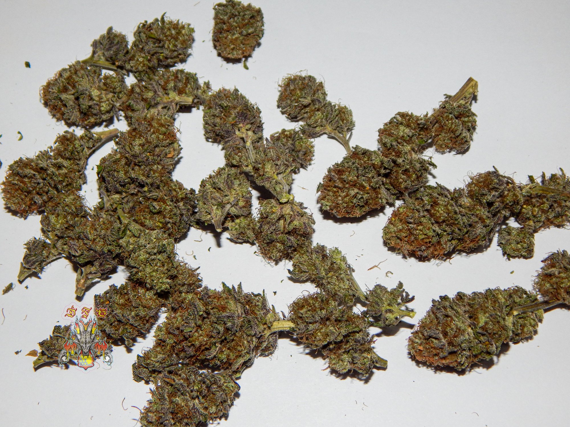 Dragons stash