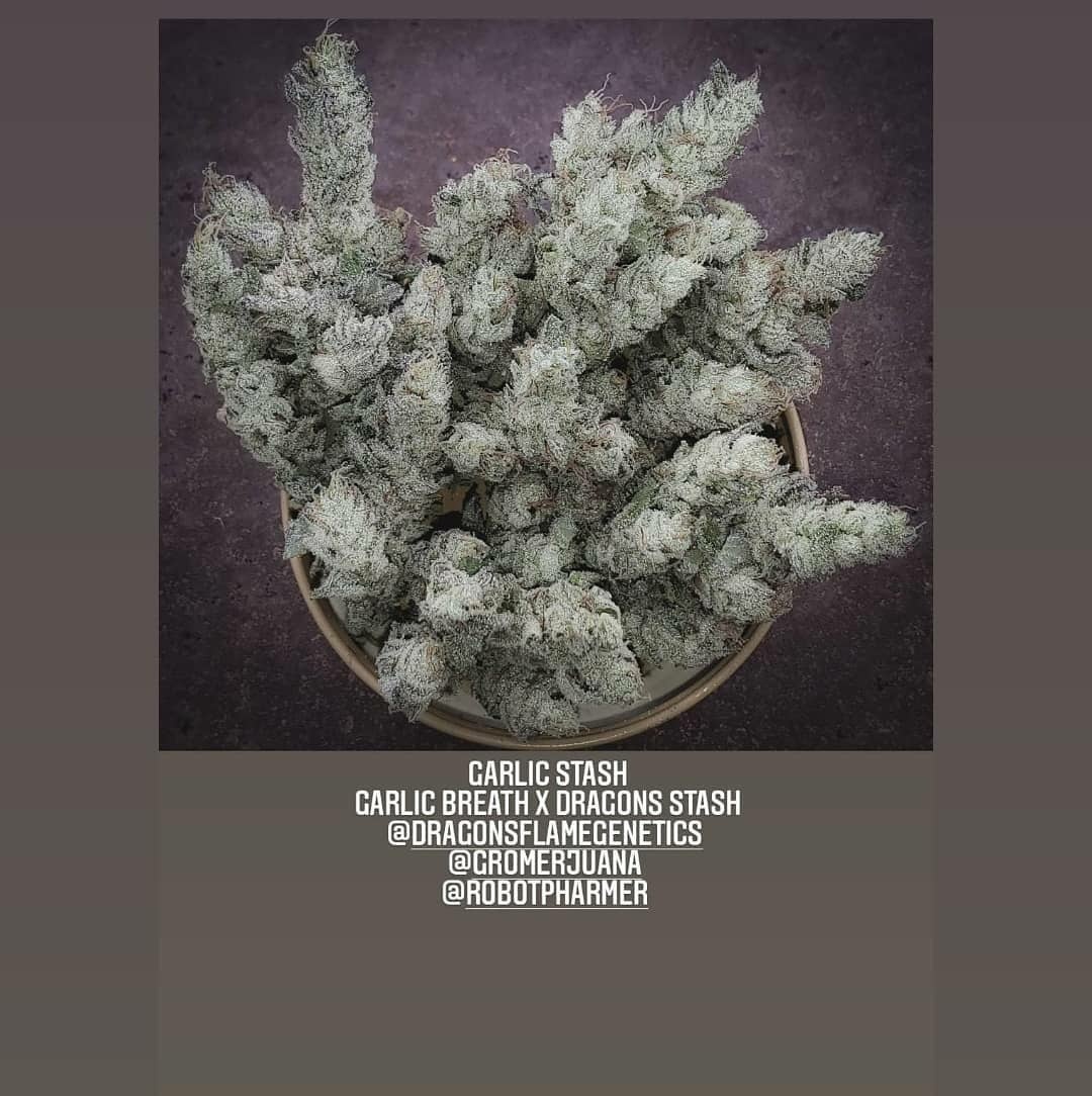 Dragonsflamegenetics 1608324171425